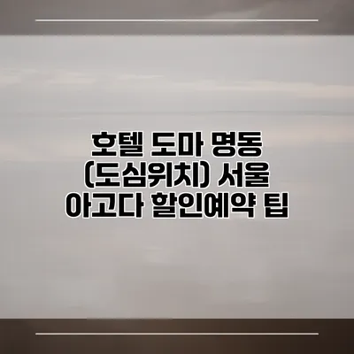 호텔 도마 명동 (도심위치) 서울 아고다 할인예약 팁