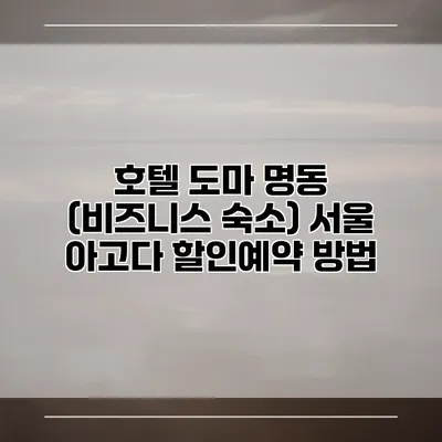 호텔 도마 명동 (비즈니스 숙소) 서울 아고다 할인예약 방법
