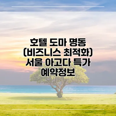 호텔 도마 명동 (비즈니스 최적화) 서울 아고다 특가 예약정보