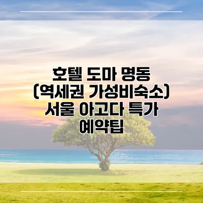 호텔 도마 명동 (역세권 가성비숙소) 서울 아고다 특가 예약팁