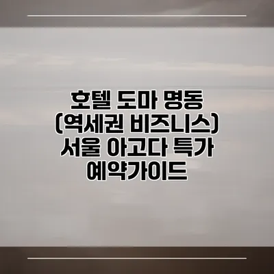 호텔 도마 명동 (역세권 비즈니스) 서울 아고다 특가 예약가이드