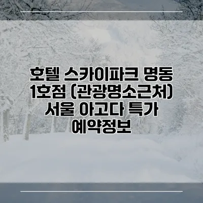 호텔 스카이파크 명동 1호점 (관광명소근처) 서울 아고다 특가 예약정보