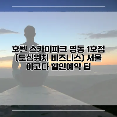 호텔 스카이파크 명동 1호점 (도심위치 비즈니스) 서울 아고다 할인예약 팁