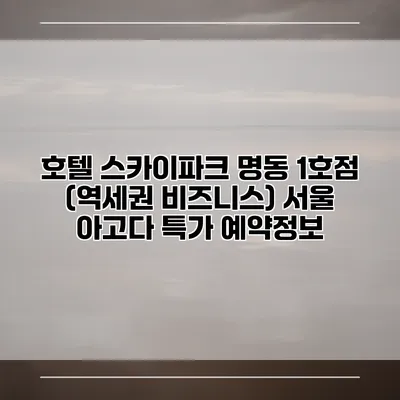 호텔 스카이파크 명동 1호점 (역세권 비즈니스) 서울 아고다 특가 예약정보
