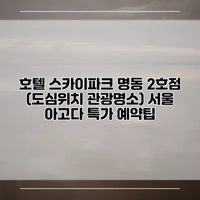 호텔 스카이파크 명동 2호점 (도심위치 관광명소) 서울 아고다 특가 예약팁