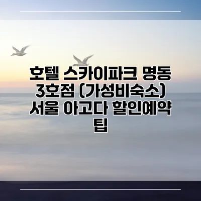 호텔 스카이파크 명동 3호점 (가성비숙소) 서울 아고다 할인예약 팁