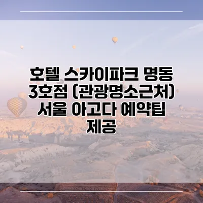 호텔 스카이파크 명동 3호점 (관광명소근처) 서울 아고다 예약팁 제공