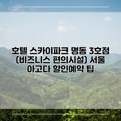 호텔 스카이파크 명동 3호점 (비즈니스 편의시설) 서울 아고다 할인예약 팁