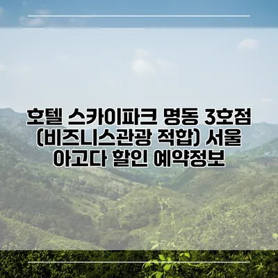 호텔 스카이파크 명동 3호점 (비즈니스관광 적합) 서울 아고다 할인 예약정보
