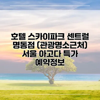 호텔 스카이파크 센트럴 명동점 (관광명소근처) 서울 아고다 특가 예약정보