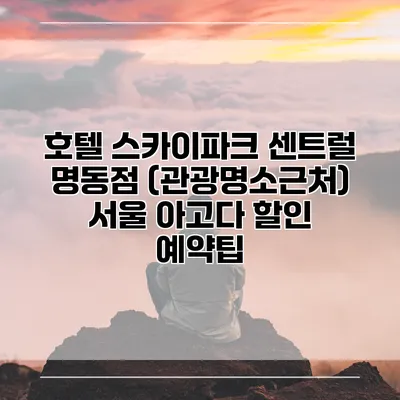 호텔 스카이파크 센트럴 명동점 (관광명소근처) 서울 아고다 할인 예약팁
