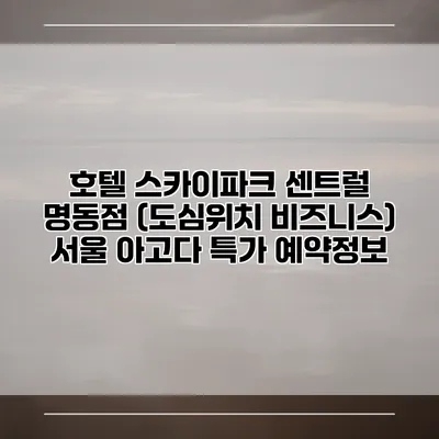 호텔 스카이파크 센트럴 명동점 (도심위치 비즈니스) 서울 아고다 특가 예약정보