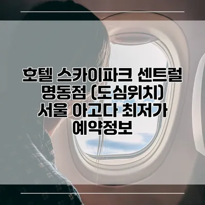 호텔 스카이파크 센트럴 명동점 (도심위치) 서울 아고다 최저가 예약정보