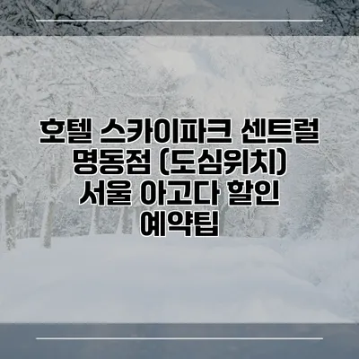 호텔 스카이파크 센트럴 명동점 (도심위치) 서울 아고다 할인 예약팁