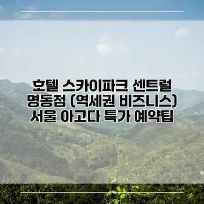 호텔 스카이파크 센트럴 명동점 (역세권 비즈니스) 서울 아고다 특가 예약팁