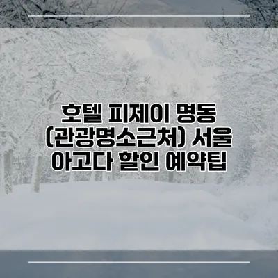 호텔 피제이 명동 (관광명소근처) 서울 아고다 할인 예약팁