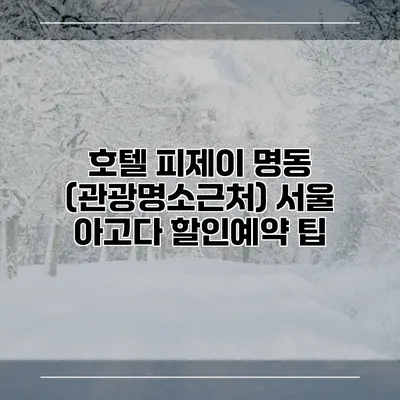 호텔 피제이 명동 (관광명소근처) 서울 아고다 할인예약 팁